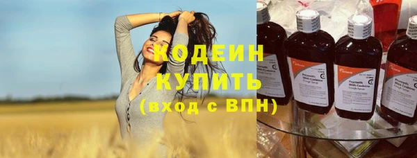 мяу мяу мука Бородино