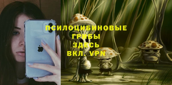 шишки Богданович