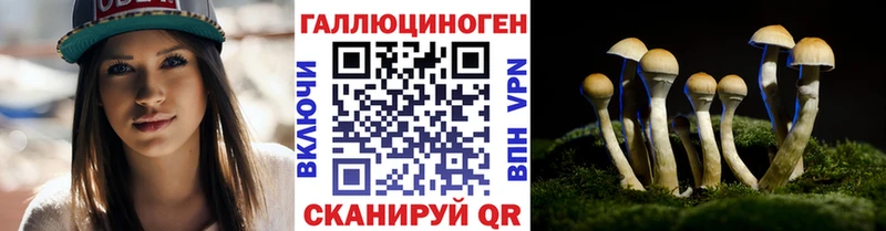 купить наркотики цена  blacksprut зеркало  это телеграм  Беслан  Галлюциногенные грибы Magic Shrooms 